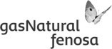 Gas natural Fenosa