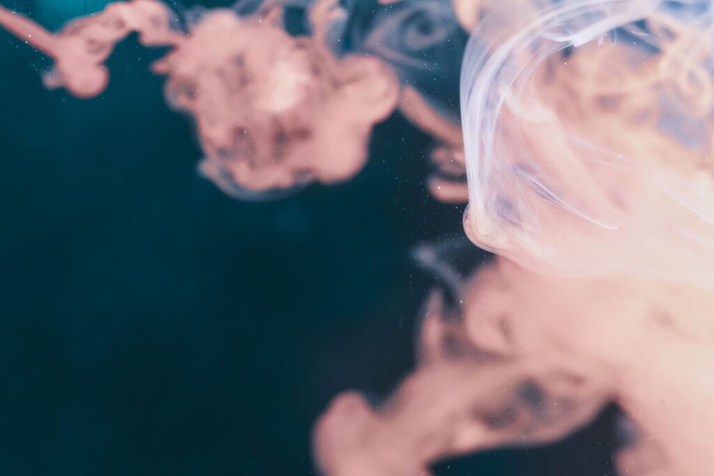 diffuseur de parfum