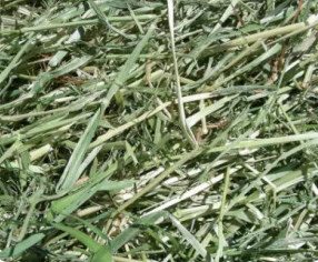 hay smell technology