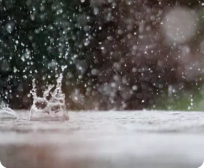rain wet smell technology