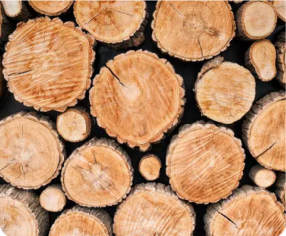 wood smell technology